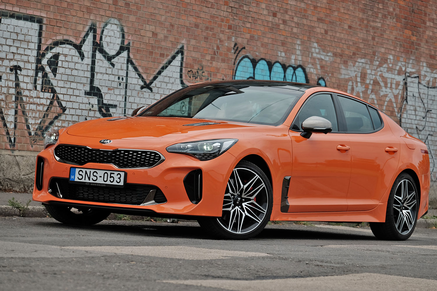Kihalásra ítélt állatfaj - Kia Stinger