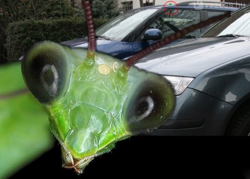 Olcsó és kedvelt kombi 1 Olcsó és kedvelt kombi 1