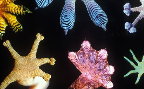 A leghasznosabb értelmetlenség 10