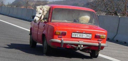 Fiat vagy Peugeot? 8