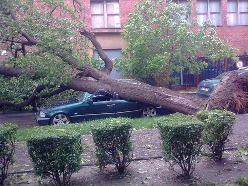 Világvégi fotók és videó a viharról 11