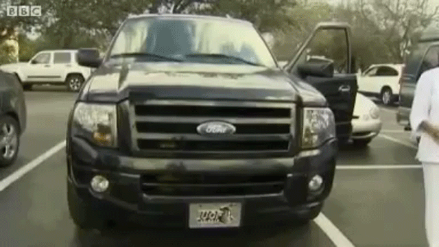 Bagoly mondja: így éld túl a gázolást! 1 Bagoly mondja: így éld túl a gázolást! 1