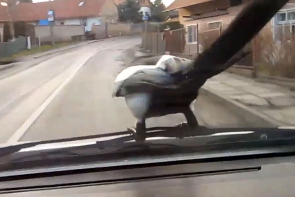 Rosszul halad Schumacher felépülése 7