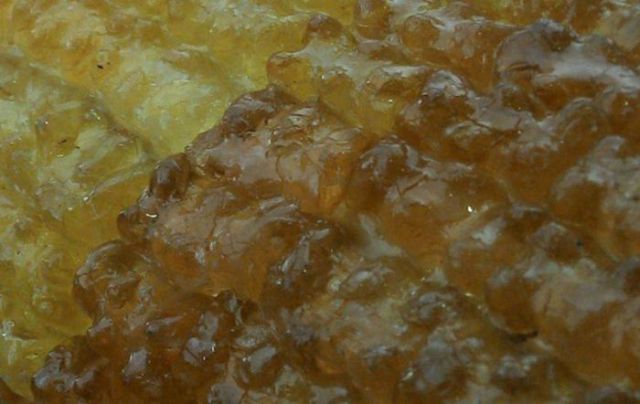 Gumicukor, ahogy még sosem láttad! 3