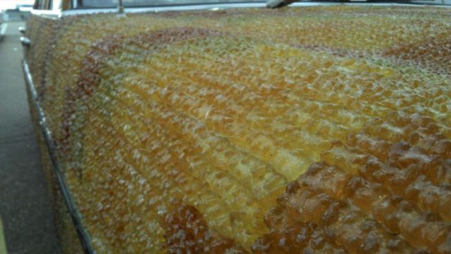 Gumicukor, ahogy még sosem láttad! 2