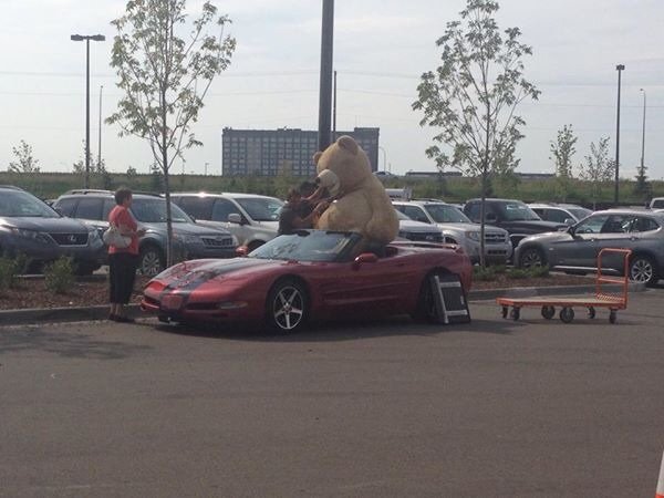 Ő a legmeglepőbb utas, akit kabrióban valaha láttunk 2 Ő a legmeglepőbb utas, akit kabrióban valaha láttunk 2