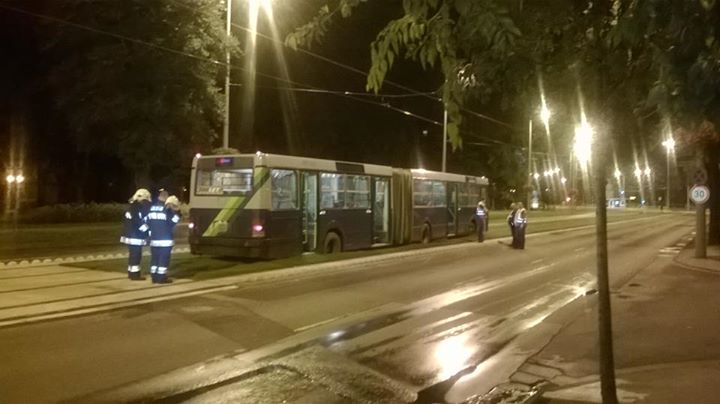 Friss gyepszőnyegbe hajtott a BKV busz 1