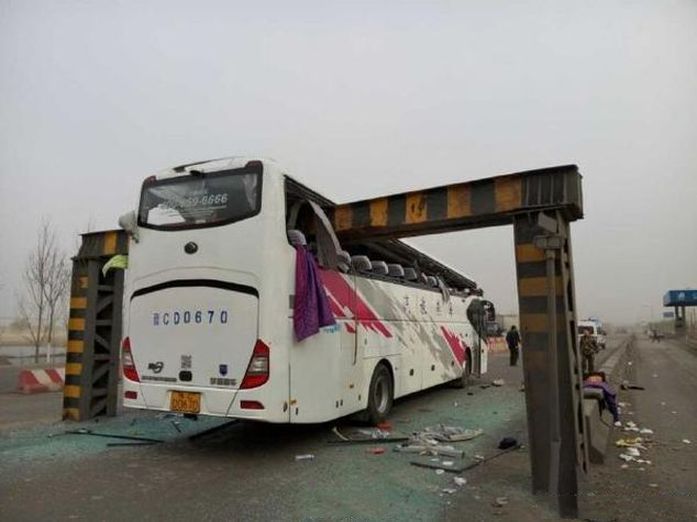 Konzervként nyitott fel egy buszt az útszéli fa 1