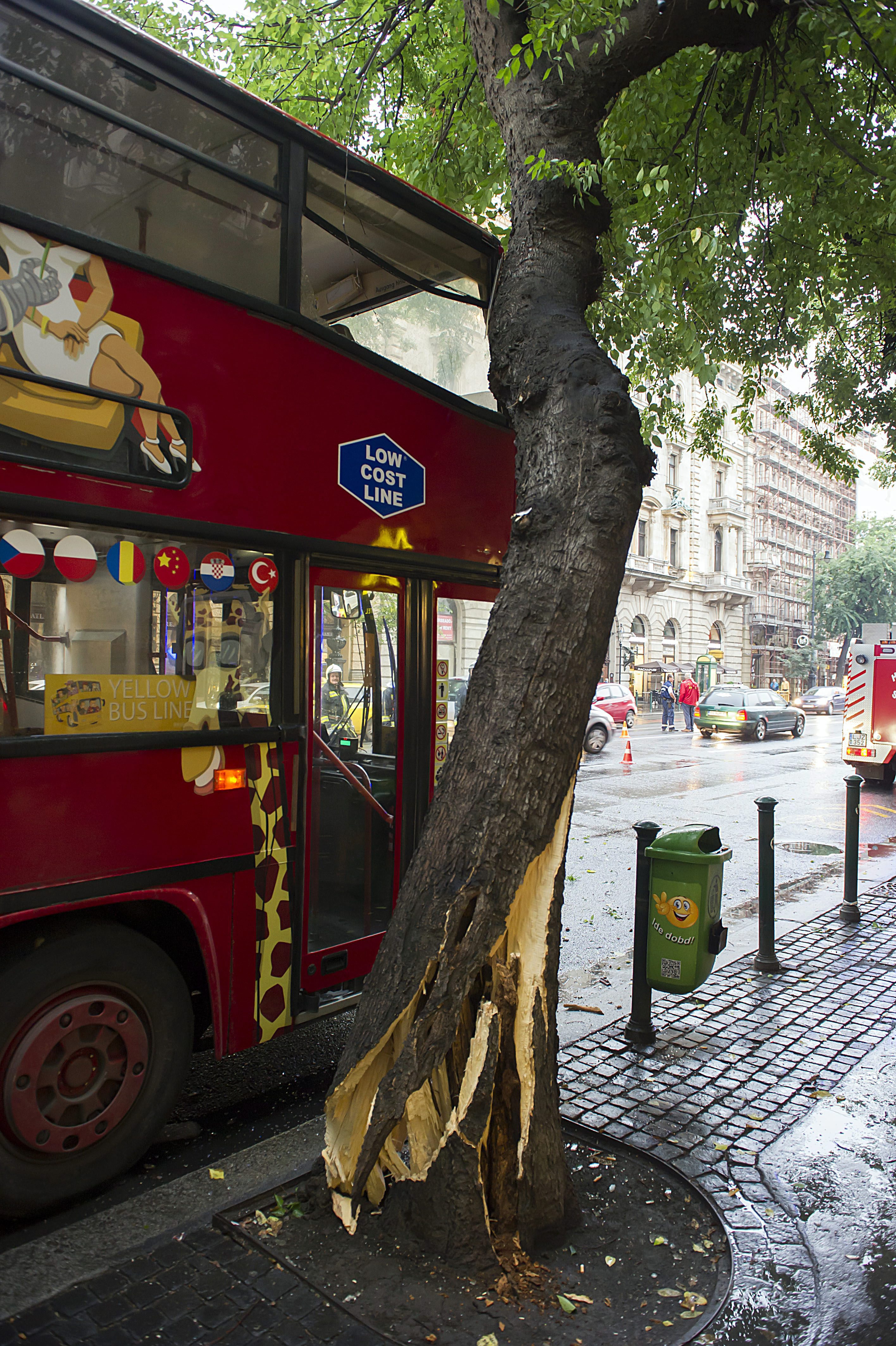 Fának ütközött egy városnéző busz Budapesten – Képek 1